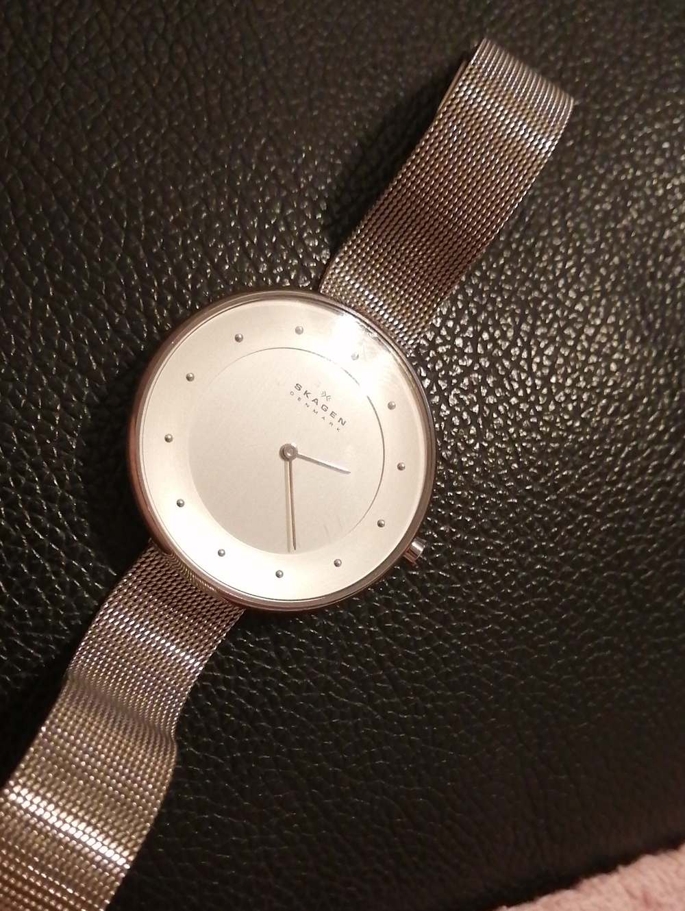 Skagen Denmark Super Hardened Mineral Crystal Water Resistant Vinta Watch